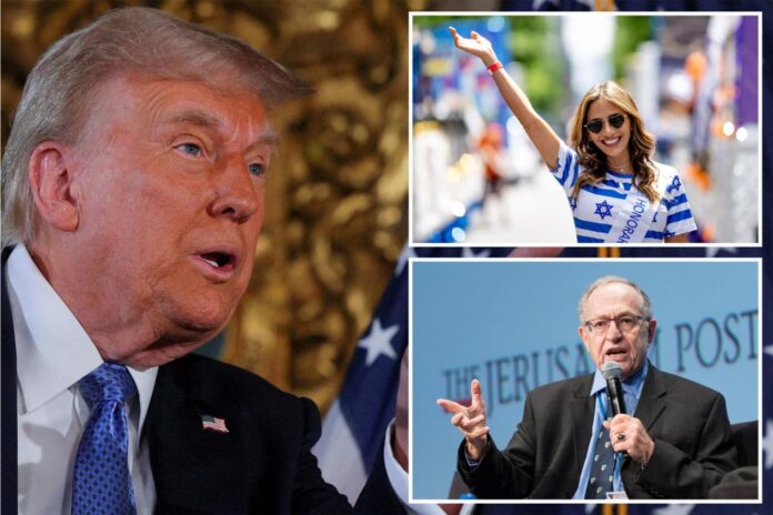 Alan Dershowitz, ex-RHONY star could be Trump's antisemitism envoy