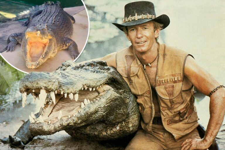 Burt the reptile from 'Crocodile Dundee' dead at 90