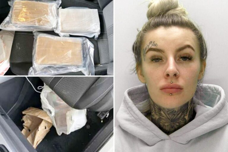 Internet swoons over Kirsty Sansum's mugshot after drug arrest