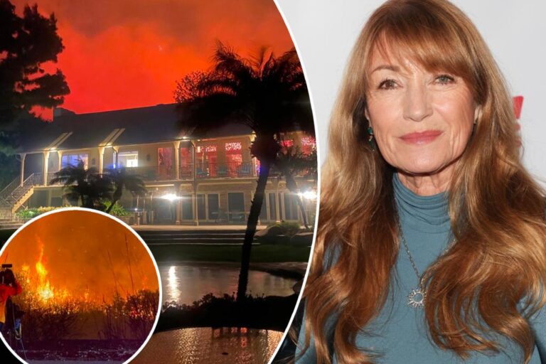 Malibu fires drove Jane Seymour from her home with barely more than the clothes on her back