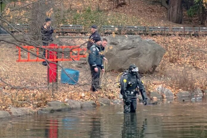 NYPD dive team searches Central Park for evidence connected to UnitedHealthcare CEO assassination (Video)