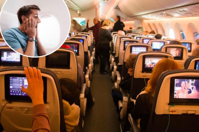 Passenger stands for 7-hour flight — and there's a great debate about why she wouldn't sit down