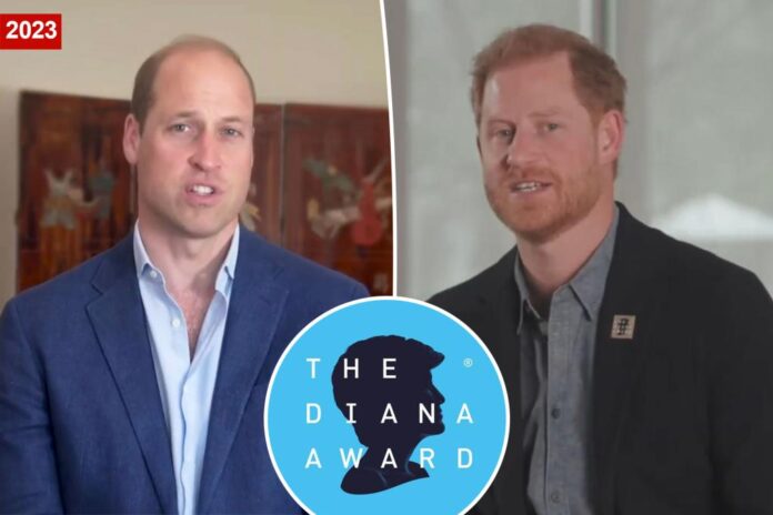 Prince Harry makes appearance at The Diana Awards, William offers separate congrats